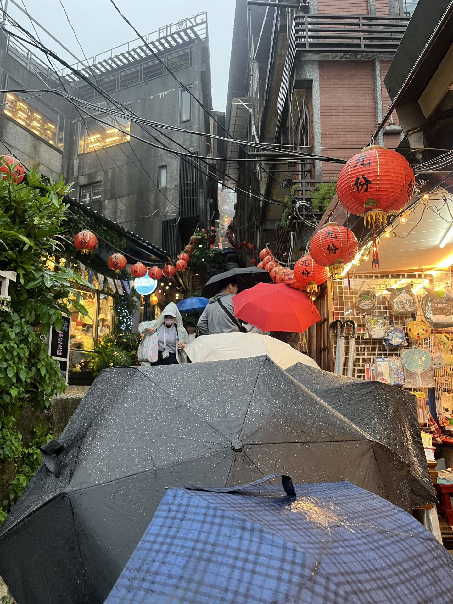 R06修学旅行2-04